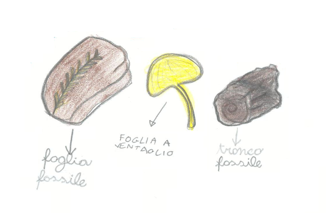 Disegni fatti da bambini di scuola primaria di "Piante dinosauro", sotto cui è scritto il nome: foglia fossile, foglia a ventaglio, foglia fossile