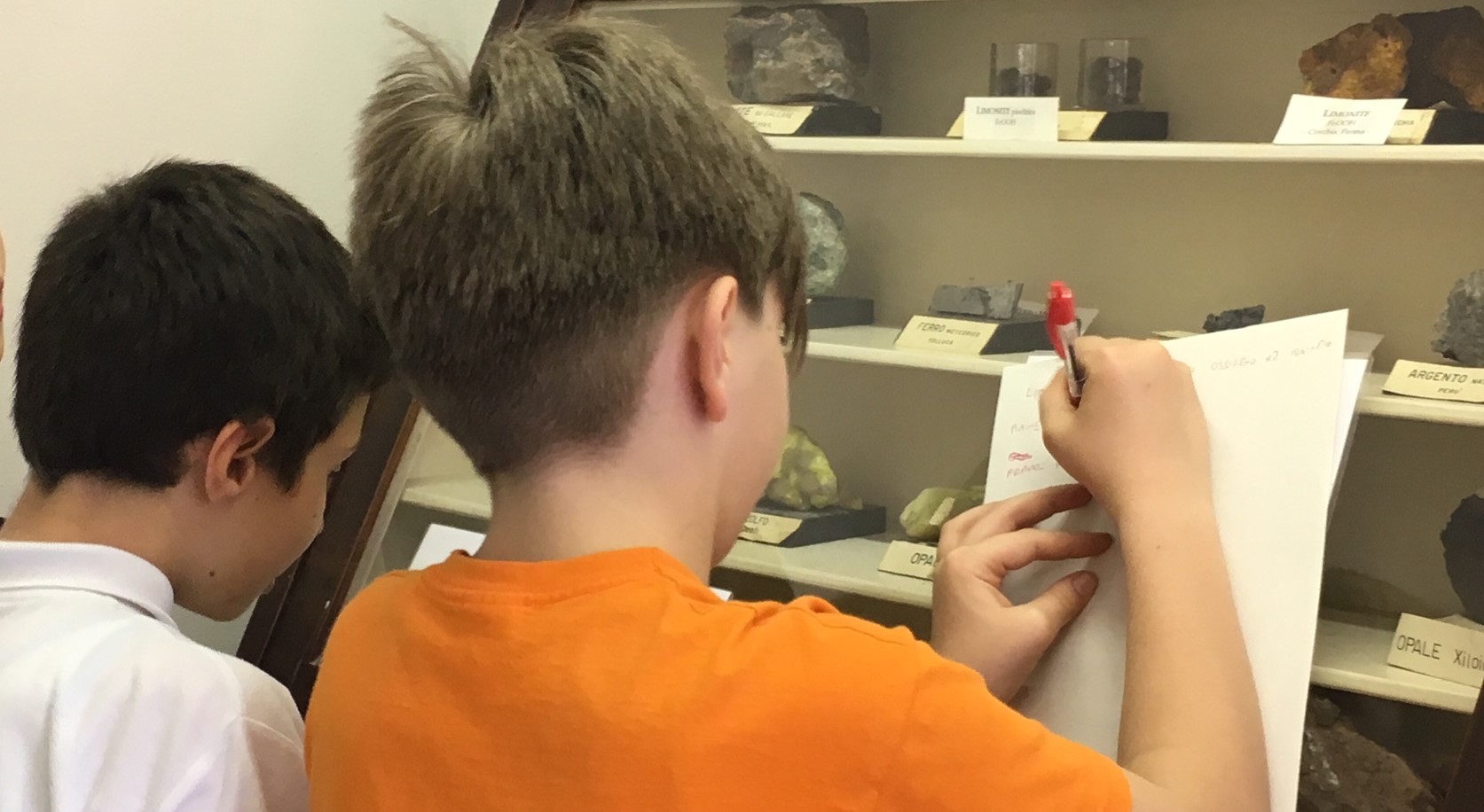lo stupore dei bambini davanti alla bellezza dei minerali esposti al Museo Universitario Gemma.