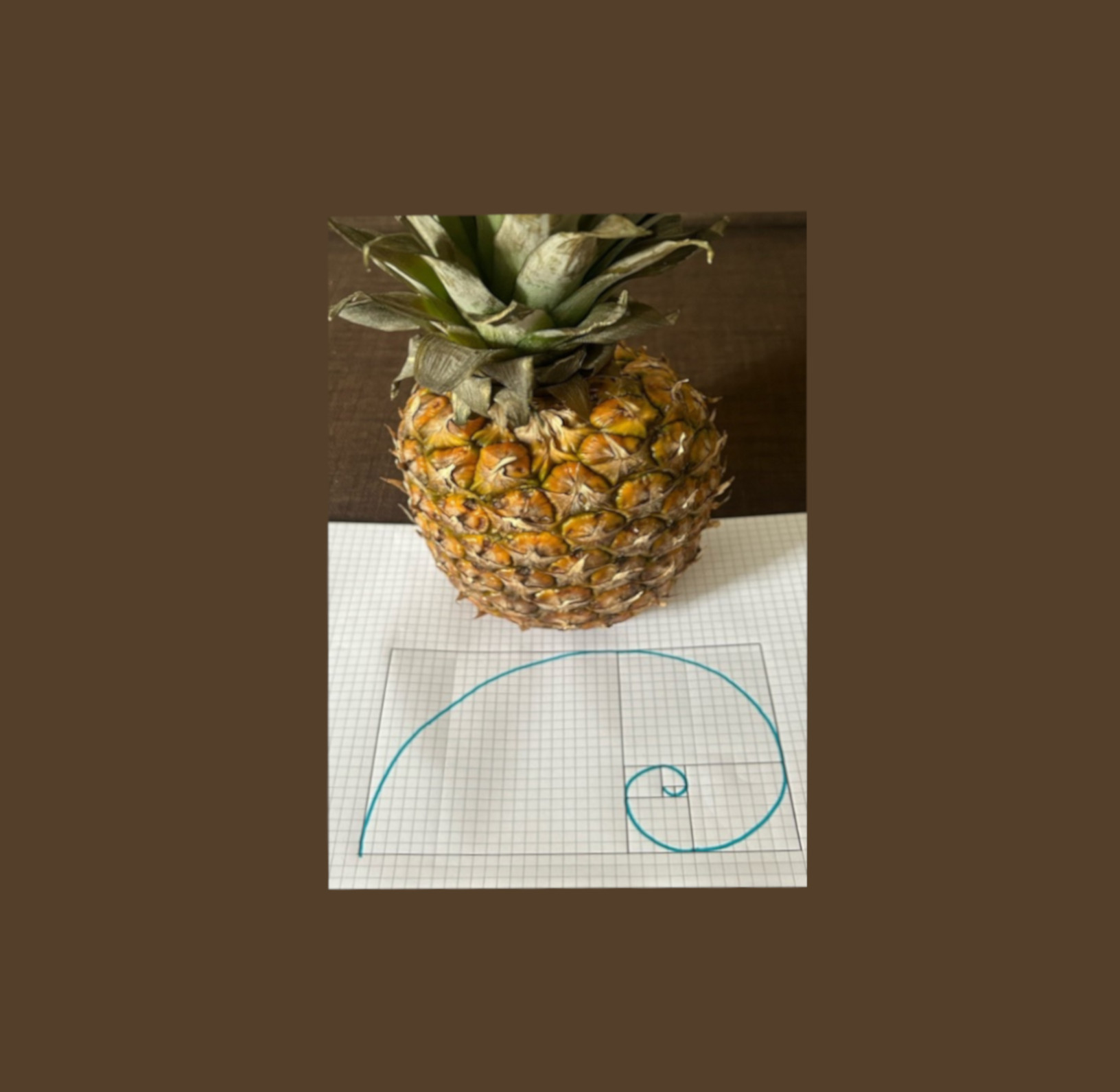 Un ananas appoggiato su un foglio a quadretti, su cui è rappresentata una linea che forma una spirale, ricavata da un rettangolo suddiviso in 8 quadrati di varie dimensioni. 