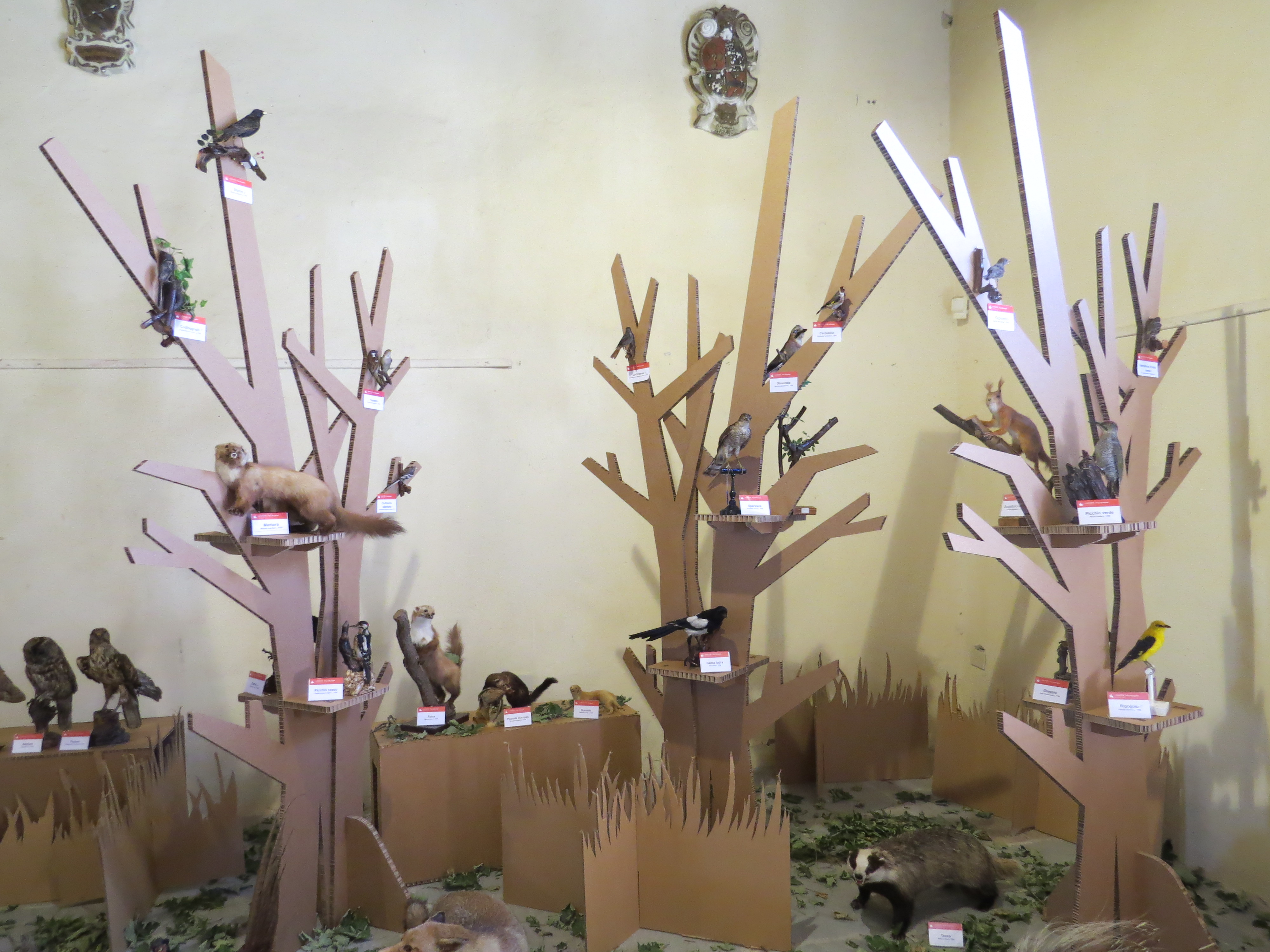 Ricostruzione di un bosco con delle sagome di alberi di cartone, su cui in vari punti dei rami, sono appoggiati tanti animali imbalsamati, creando l'effetto di un bosco molto popolato.